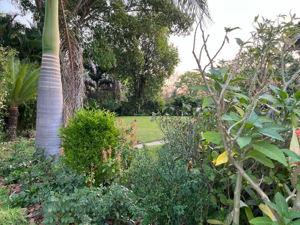 Hotel Golden Bamboo Nyanda Esterno foto